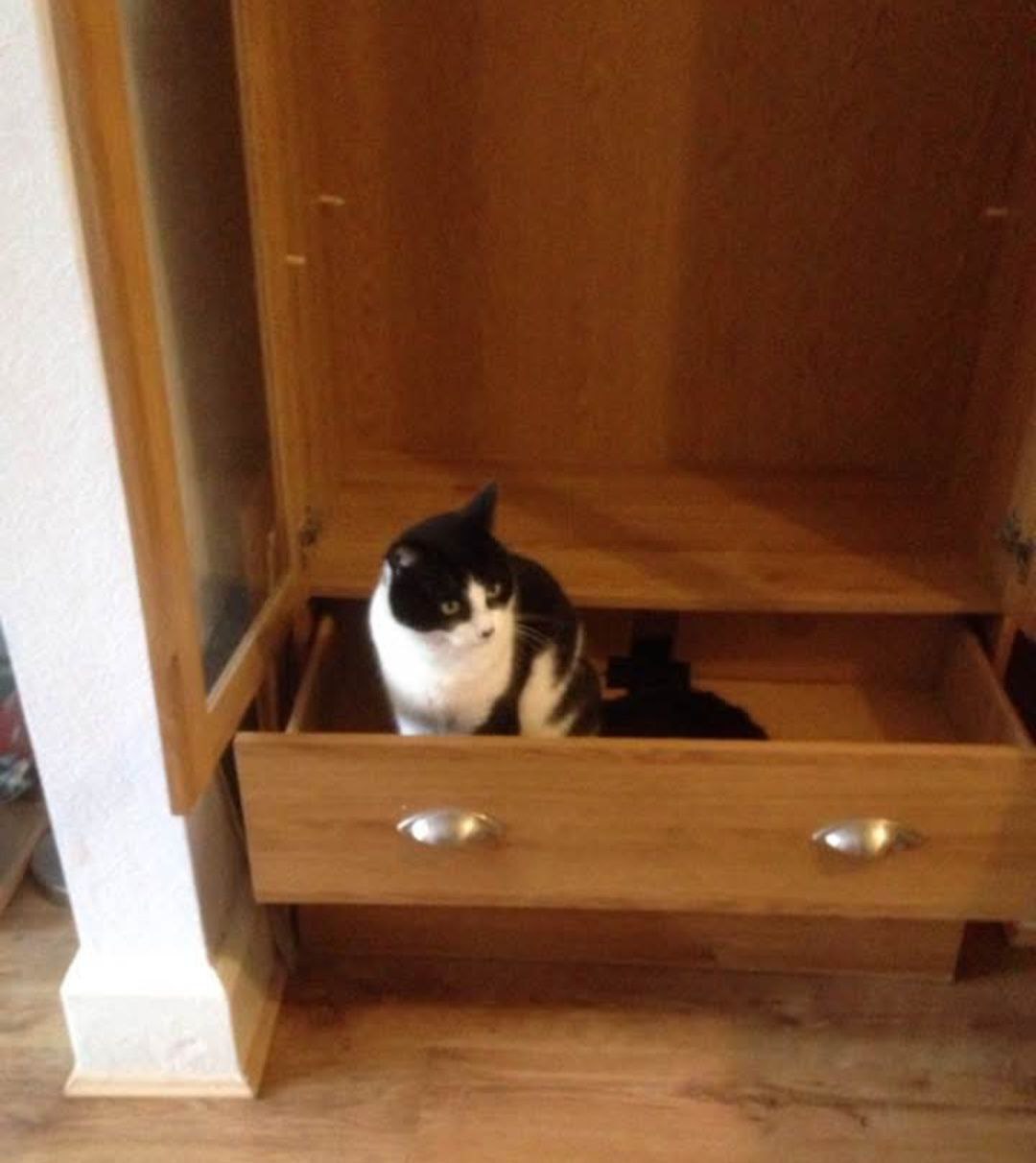 Friendship between a man and a woman