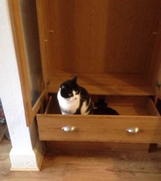 Friendship between a man and a woman