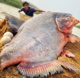 Fishing is more than just a hobby for me.